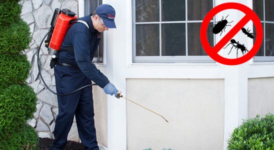 Hocalar Bit İlaçlama böcek ilaçlama ve haşere kontrolü — ilaclama-tr.com